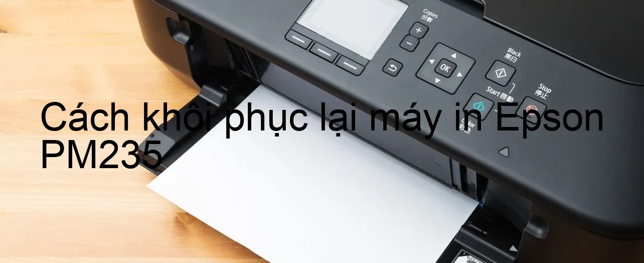 cach-khoi-phuc-lai-may-in-epson-pm235.webp